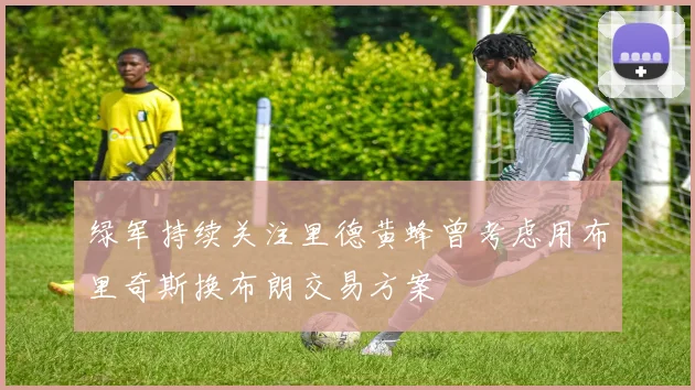 绿军持续关注里德黄蜂曾考虑用布里奇斯换布朗交易方案