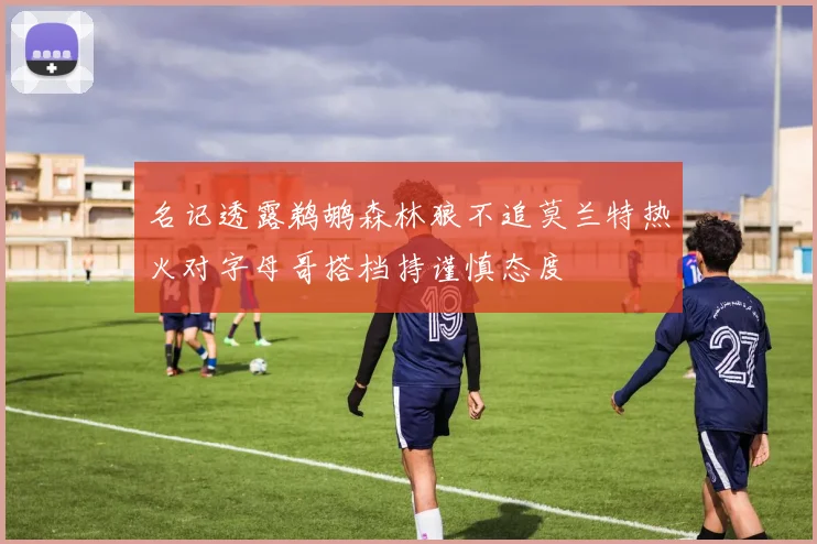 名记透露鹈鹕森林狼不追莫兰特热火对字母哥搭档持谨慎态度